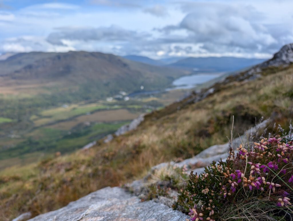 On top of Diamond Hill
